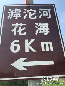 滹沱河畔百花盛開，石家莊市民賞花正當時